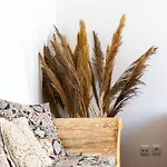 Amar Boutique Apartment